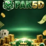 PAK5D GAME icon