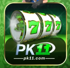 PK11 Game icon