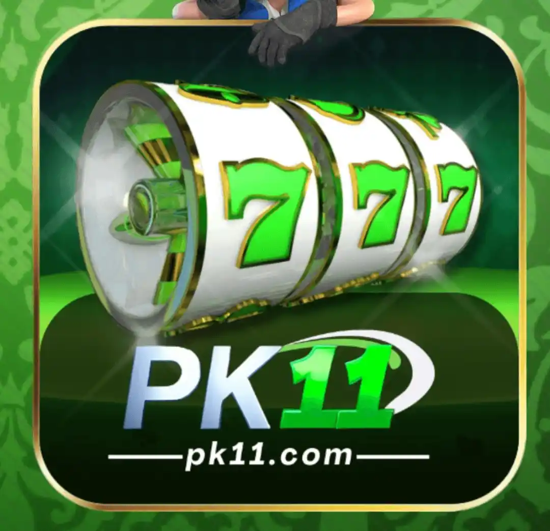 PK11 Game icon