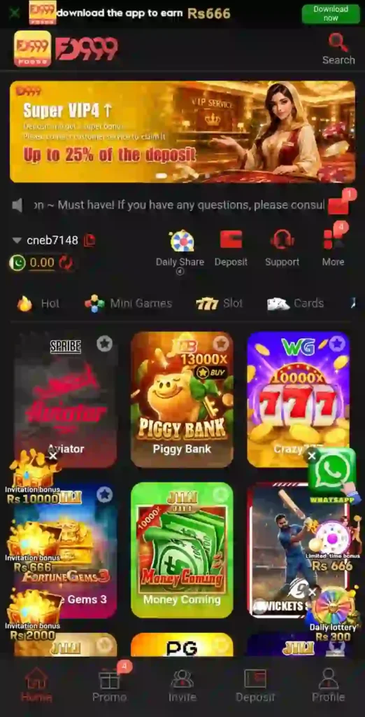 FD999 Game